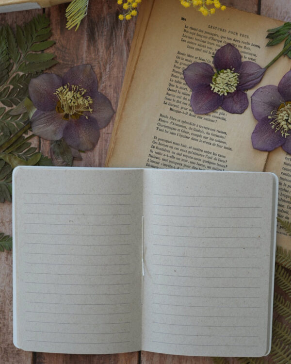 pages lignees carnet cousu