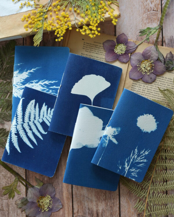 carnets cyanotype cousus