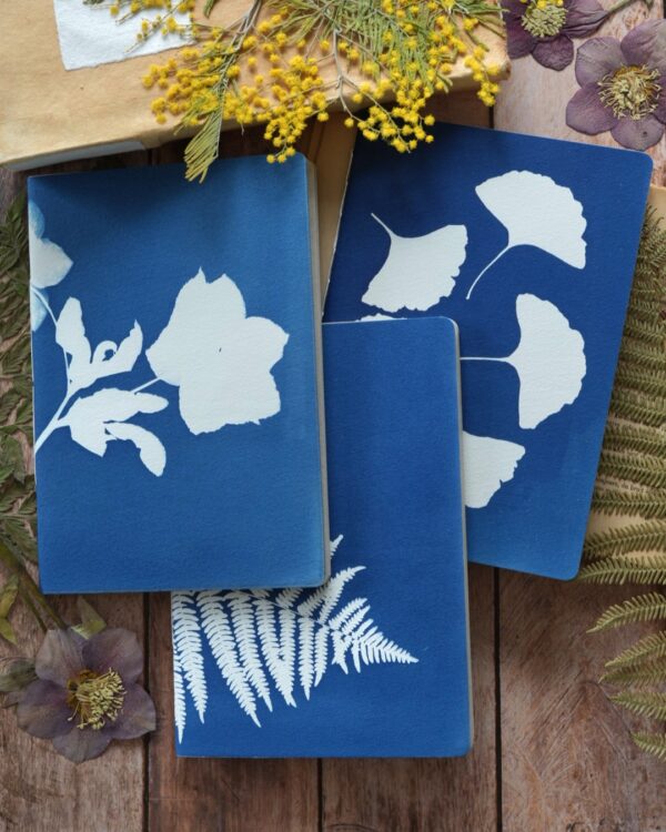 cahiers cyanotype