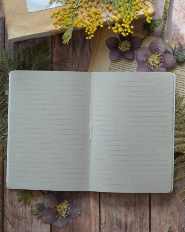 cahier pages lignees