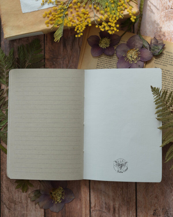 cahier pages lignees bis