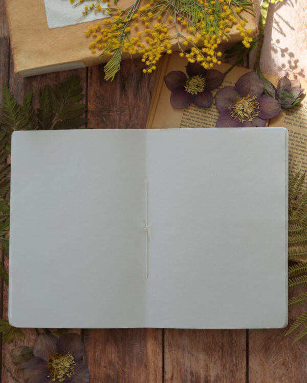 cahier pages blanches