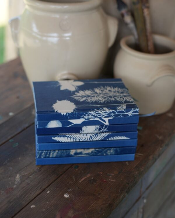 Agenda cyanotype