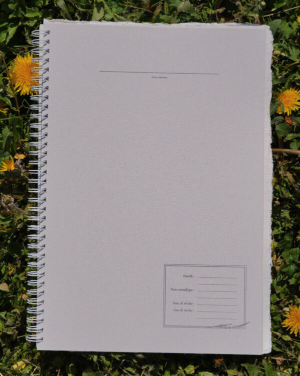 page botanique herbier