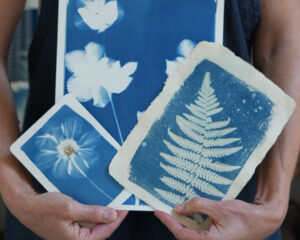 atelier cyanotype