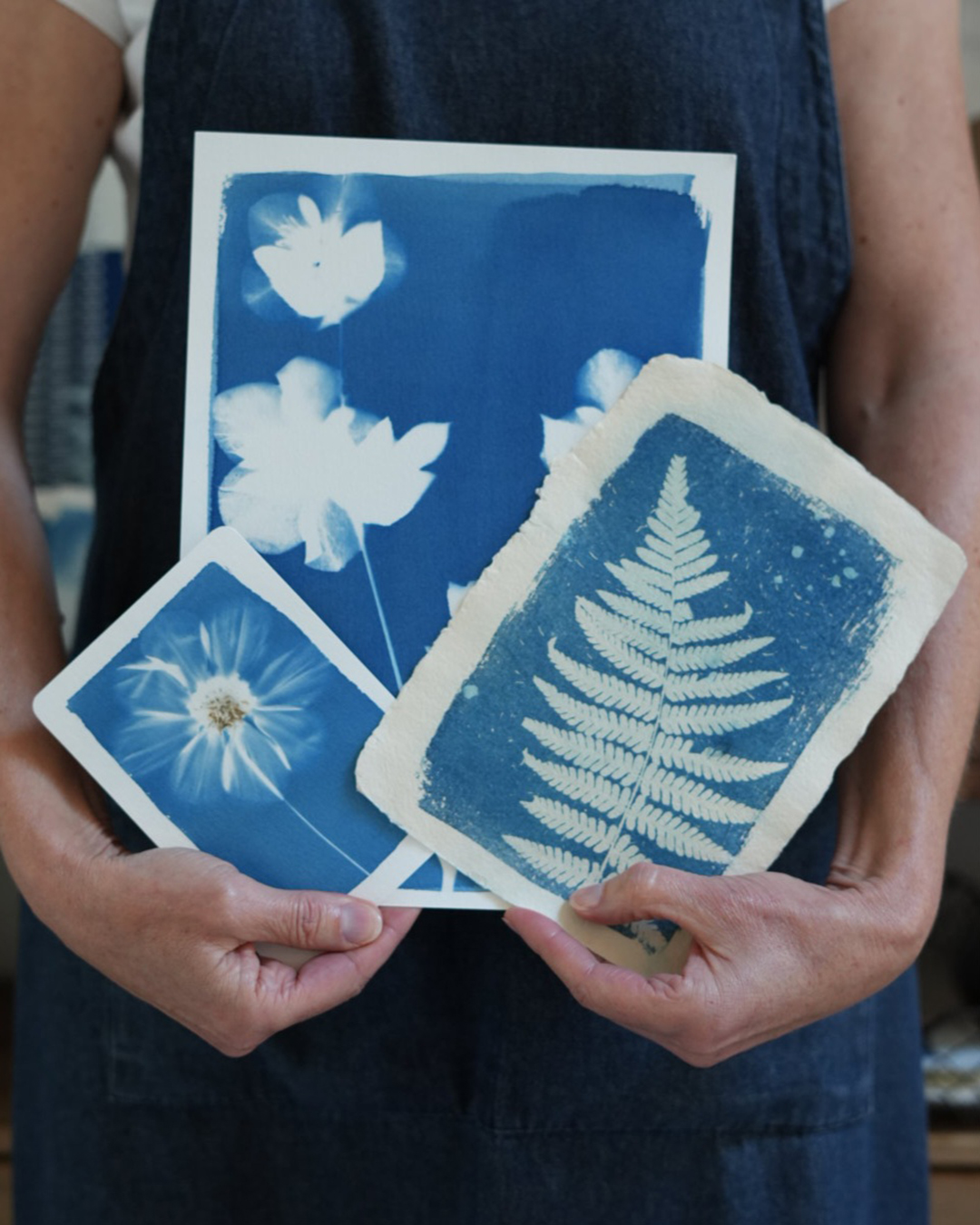 atelier cyanotype